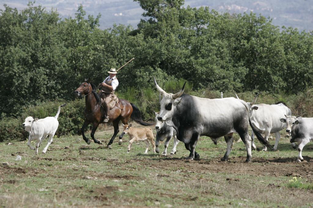קבריליה Agriturismo La Forra מראה חיצוני תמונה